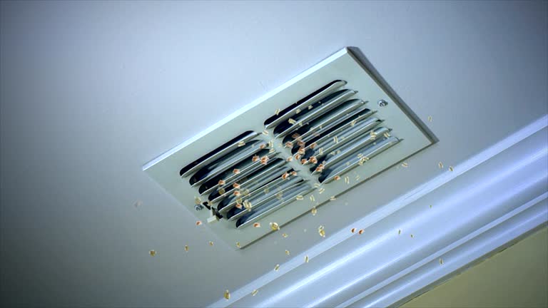 Best HVAC Duct Inspection Services  in Plainville, KS