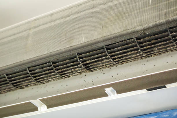 Best HVAC Duct Inspection Services  in Plainville, KS