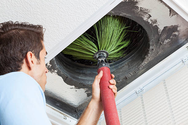 Best Duct Cleaning Specialists  in Plainville, KS